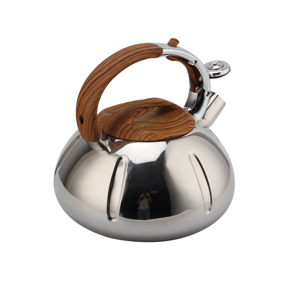 Fashionable Whistling Kettle-Kettle With Flute-Tea Kettle — 4