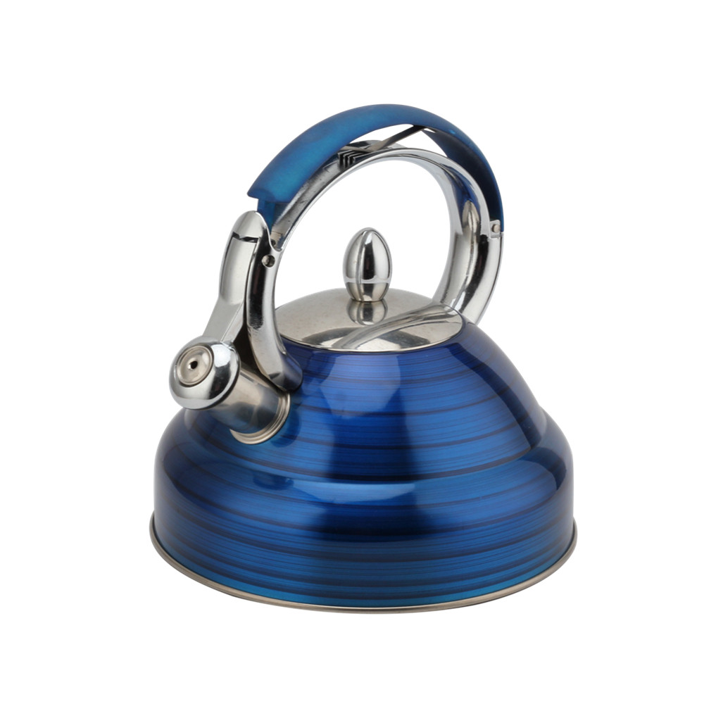 Modern Induction Whistling Kettle Stainless Steel Tea Kettle for All Hobs — product information