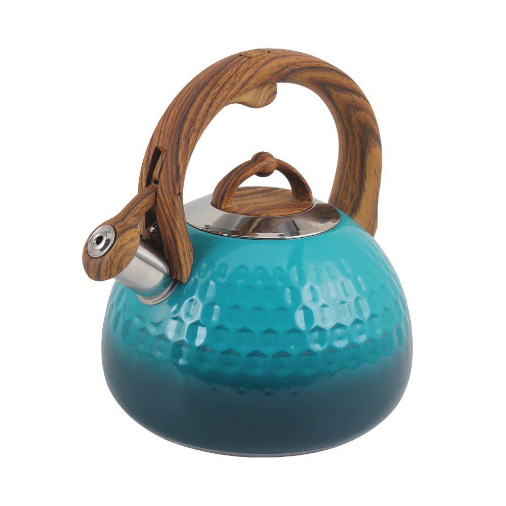 Blue Stainless Steel Whistling Kettle — 3