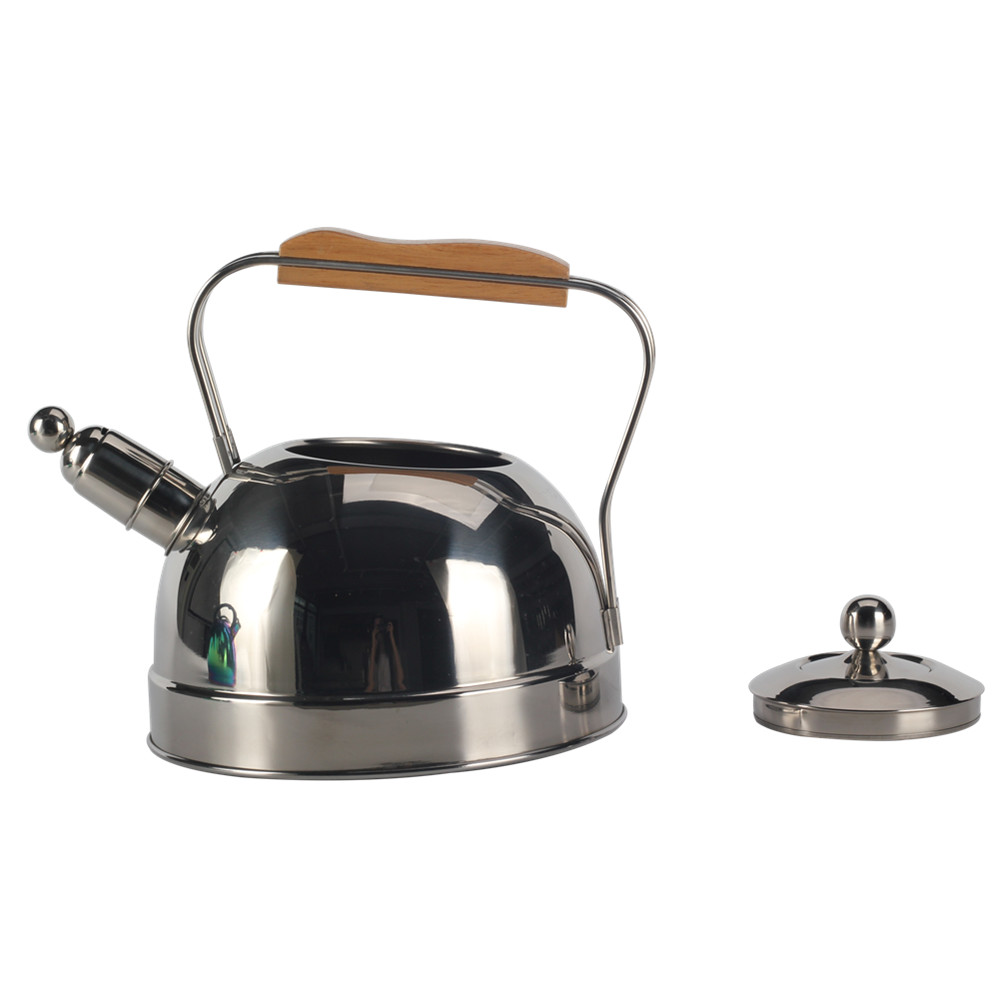 Stainless Steel Whistling Kettle for Tea & Coffee — 5