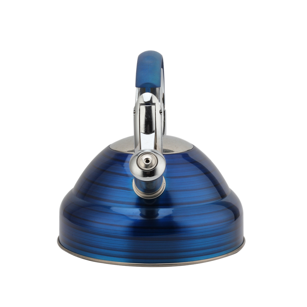 Modern Induction Whistling Kettle Stainless Steel Tea Kettle for All Hobs — 4