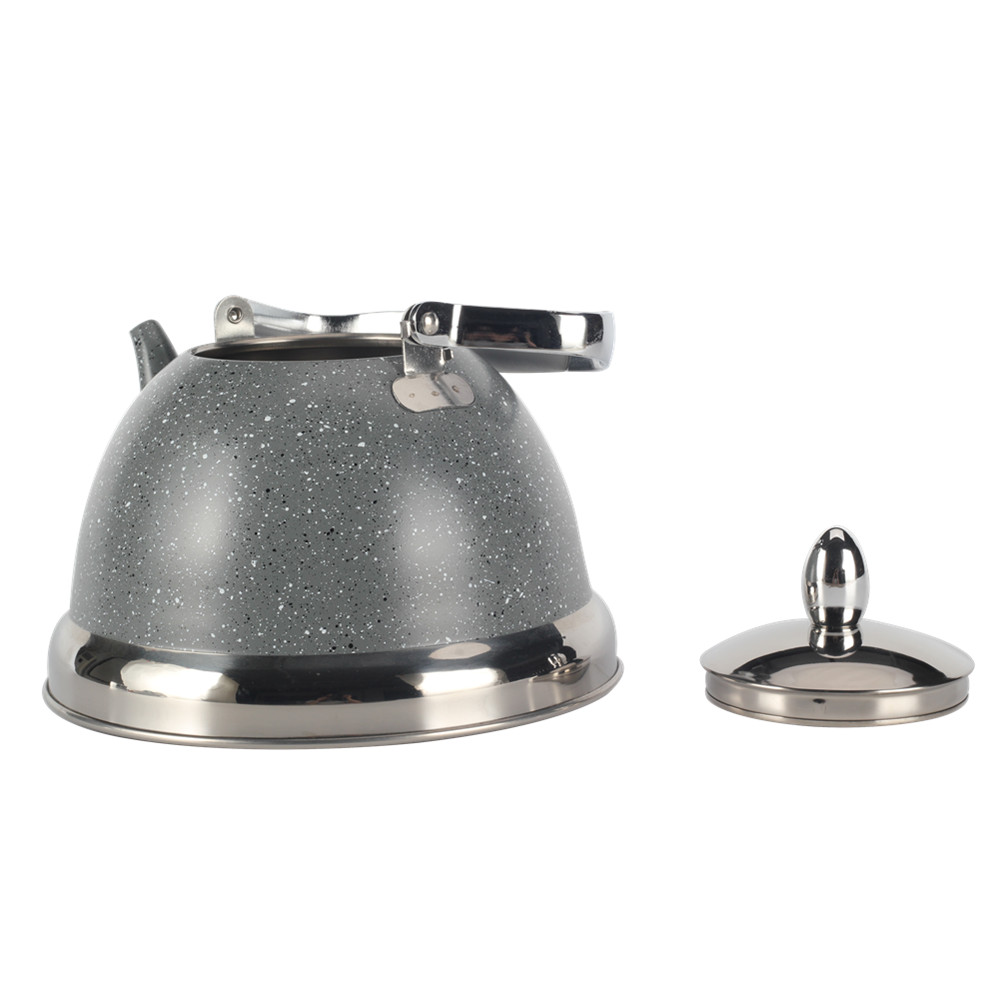 Whistling Kettle With Handle & Whistling Sound Gray — 2