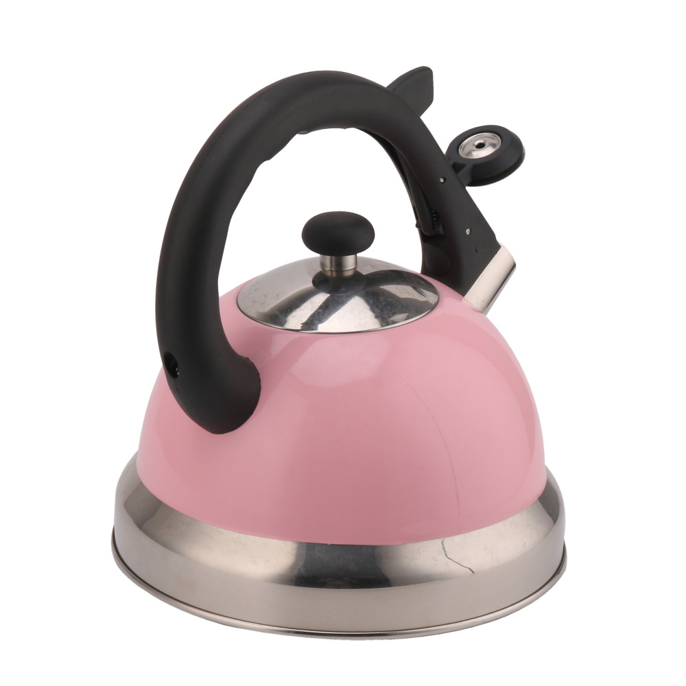 Stainless Steel Whistling Tea Kettle-Pink — 2