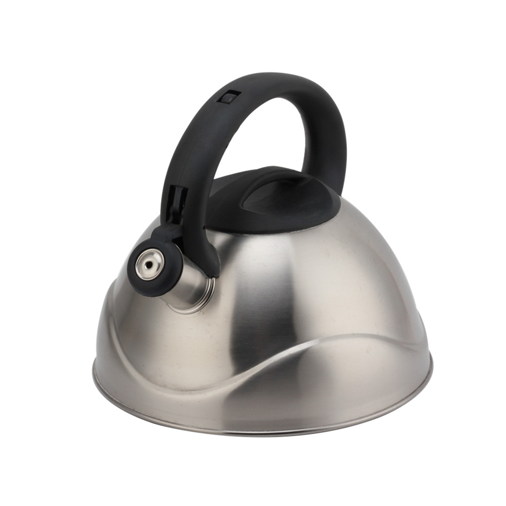 Stainless Steel Whistling Kettle, Ergonomic Handle, Silver Color — product information