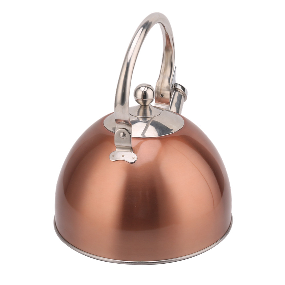 Kettle Induction-Stainless Steel Tea Kettle 2.5L Teal — 2