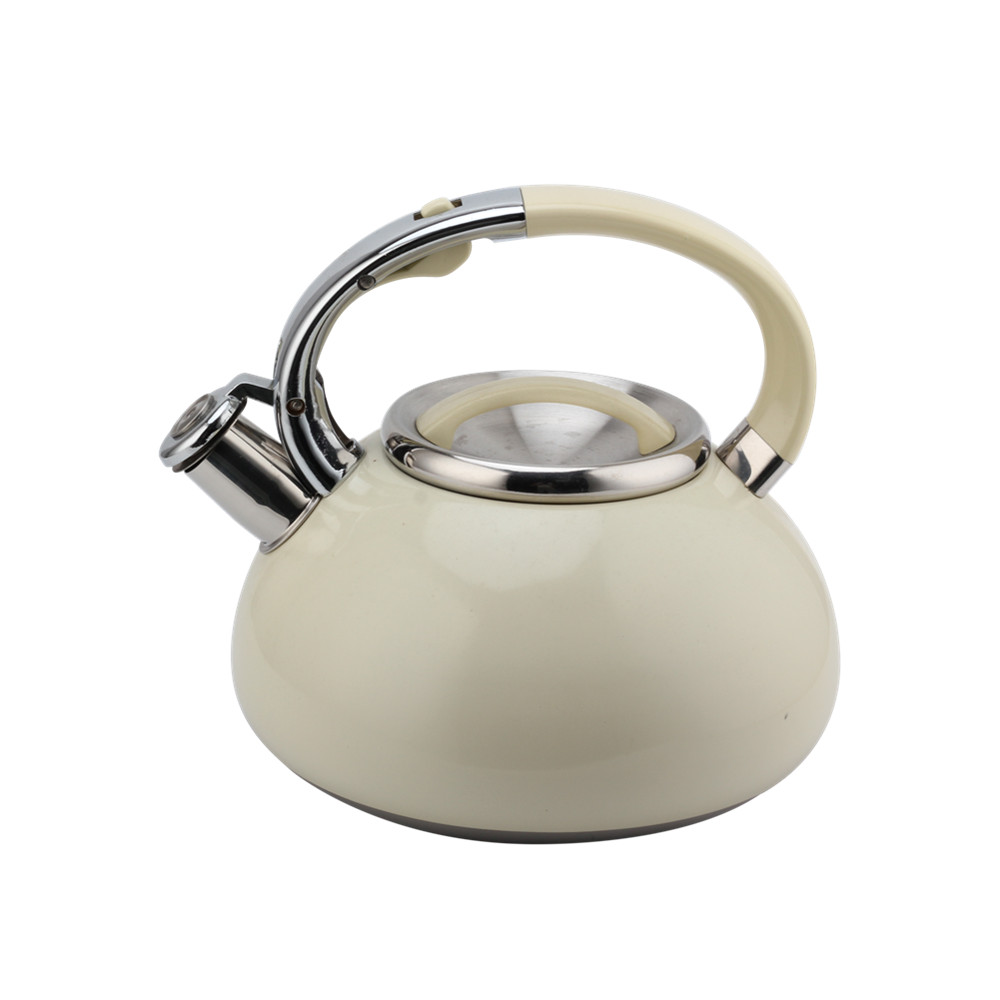 Kettle With Flute-Tea Kettle-Stainless Steel-Induction — product information