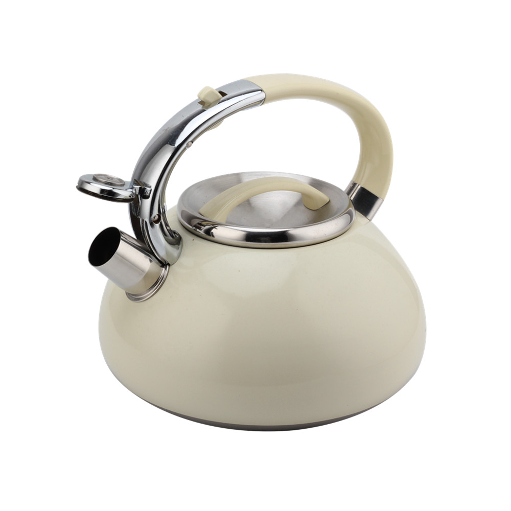 Kettle With Flute-Tea Kettle-Stainless Steel-Induction — product information