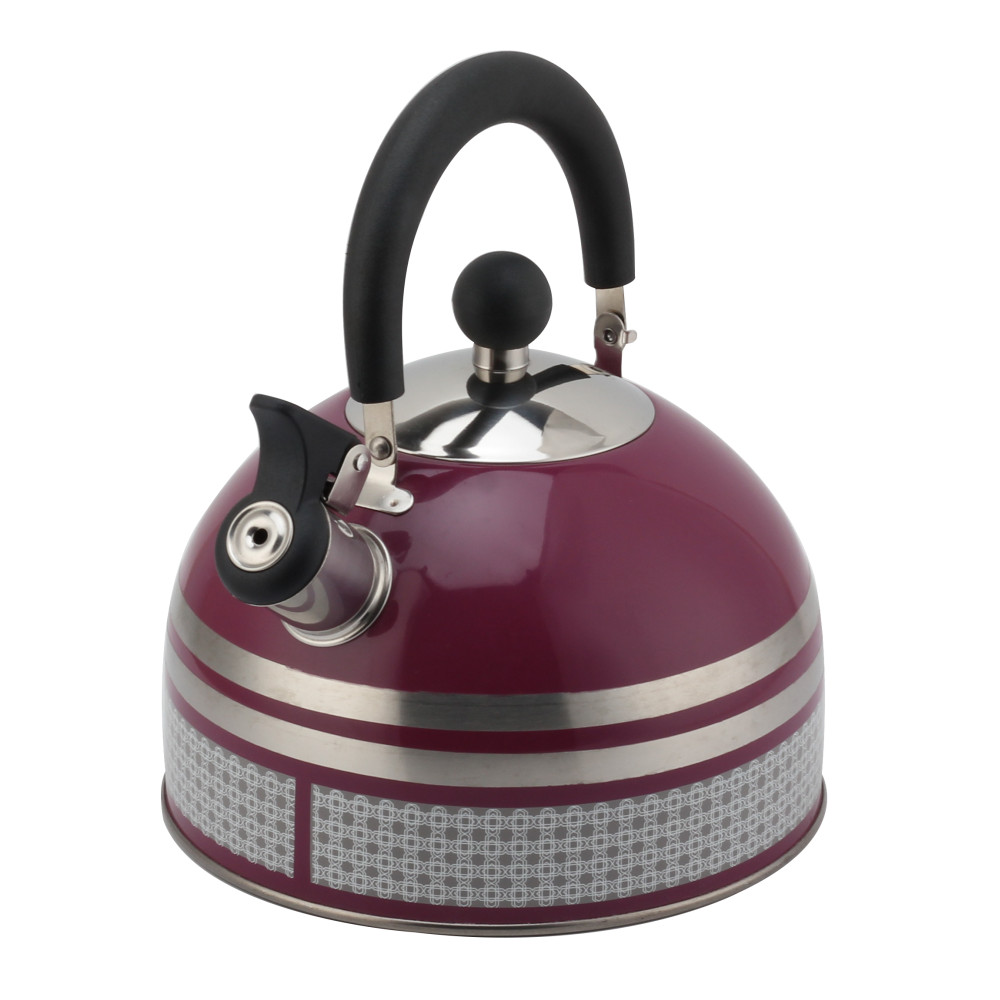 S/S Tea Kettle With Whistling Sound — product information