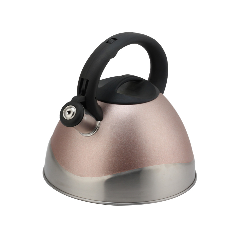 Modern Stainless Steel Whistling Kettle, Ergonomic Handle — 3
