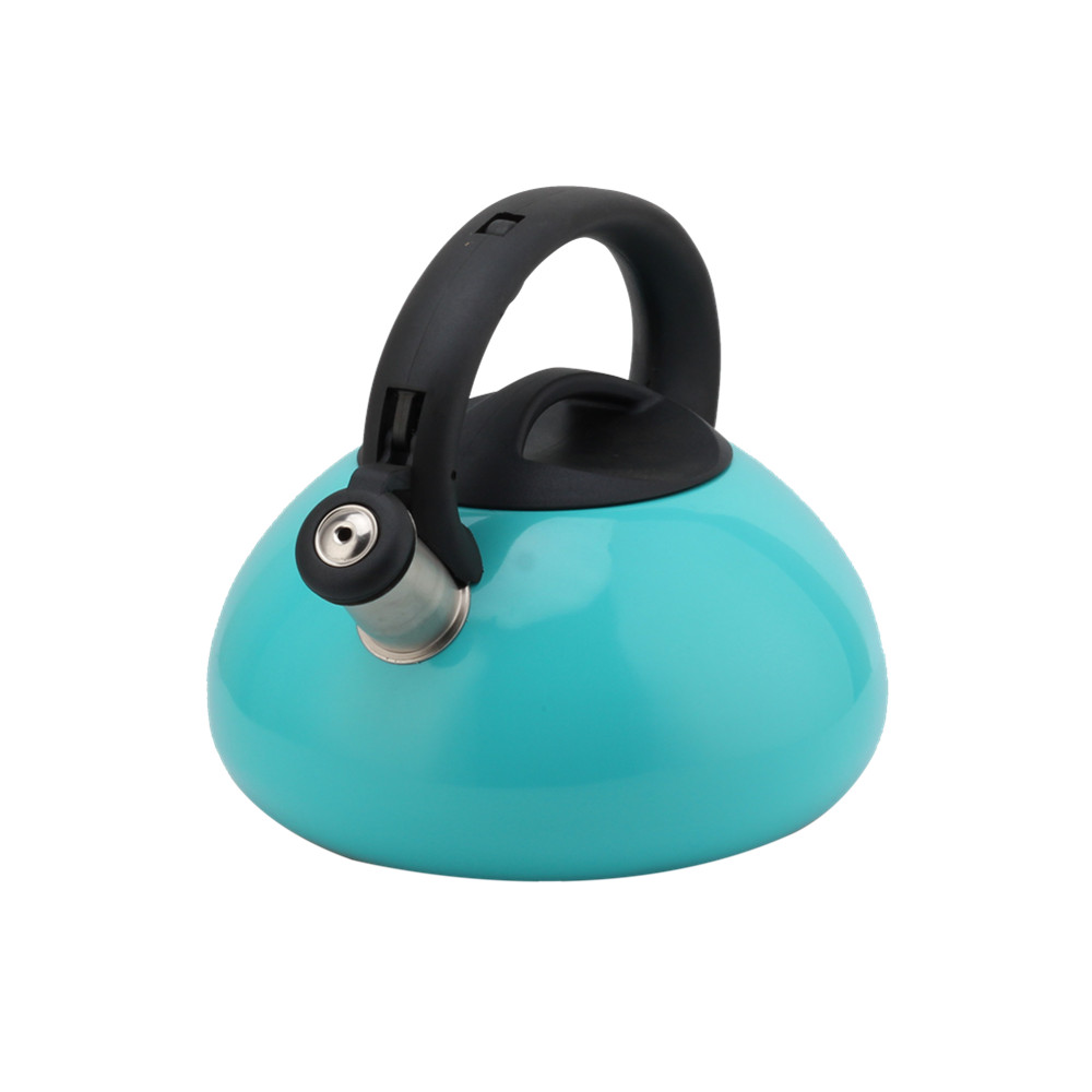 Induction Whistling Kettle Made Of Stainless Steel — 4