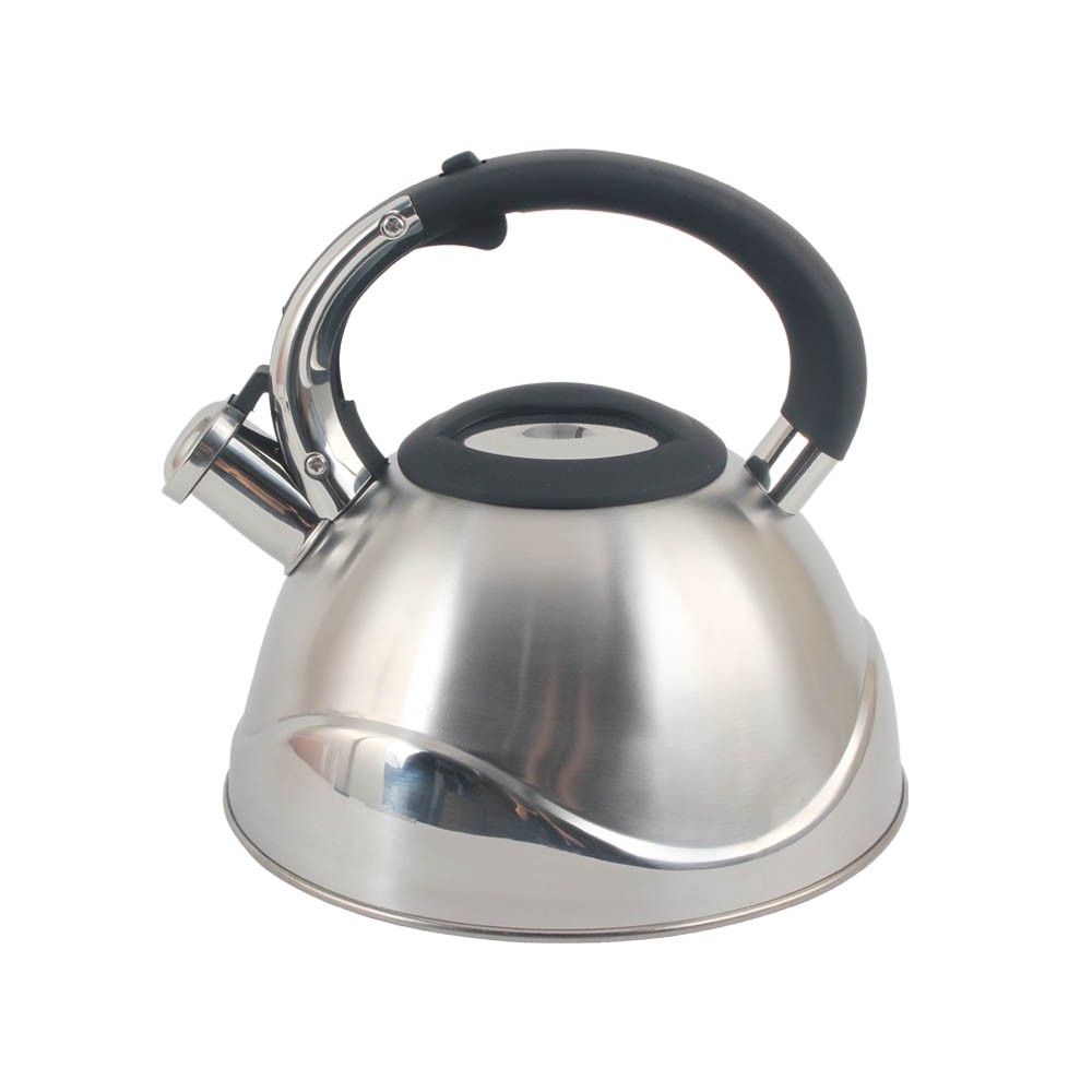 Stainless Steel Whistling Tea Kettle, Silver-Colored — product information