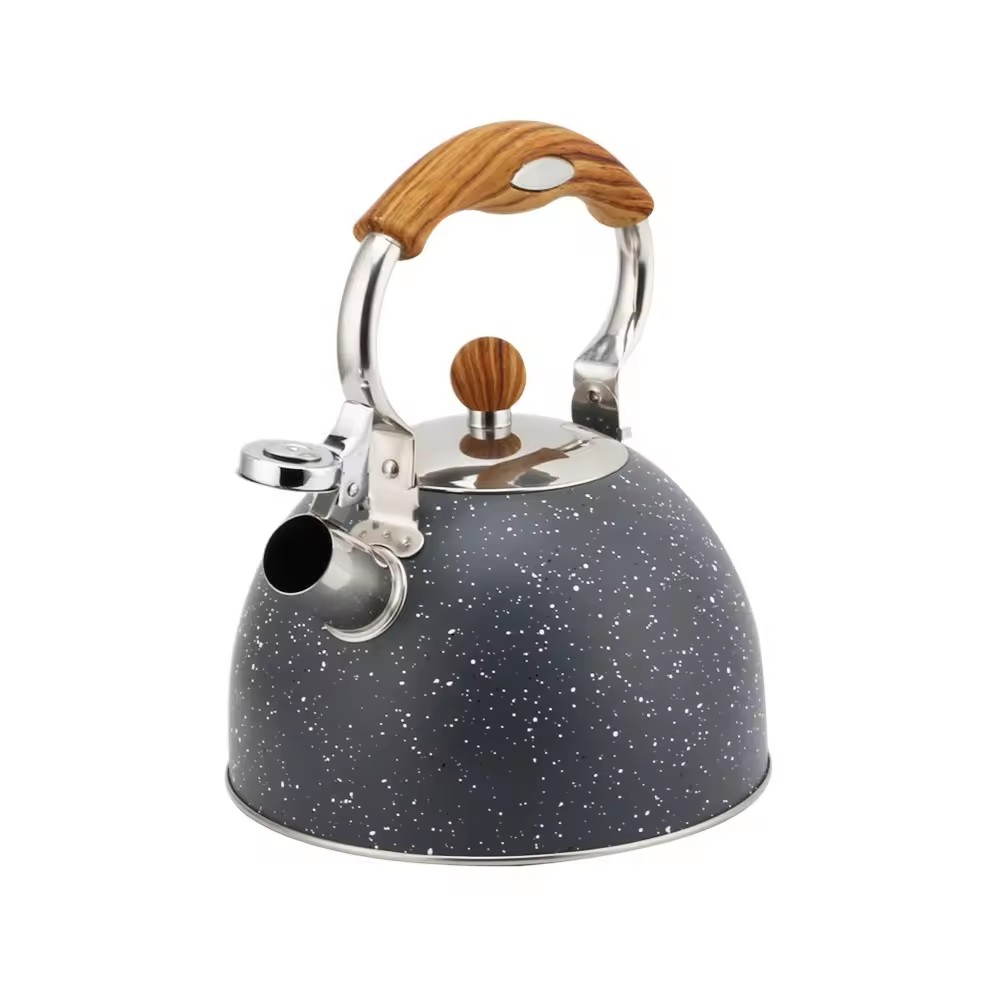 Stainless Steel Tea Kettle — product information