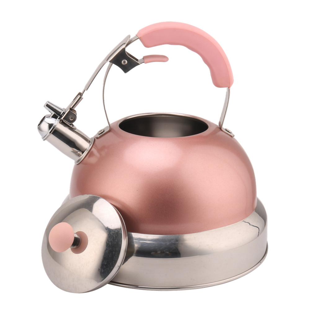 Kettle Induction-Stainless Steel Tea Kettle-Pink Color — 5