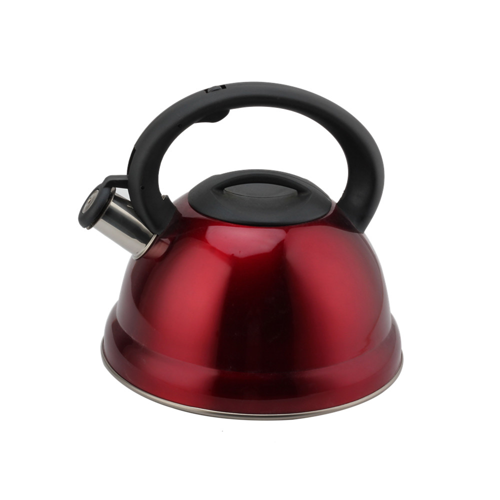 Tea Kettle With Flute-Whistling Kettle