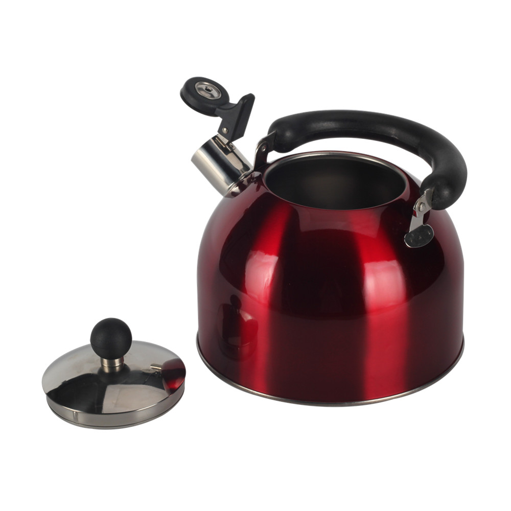 Stainless Steel whistling Kettle — 3
