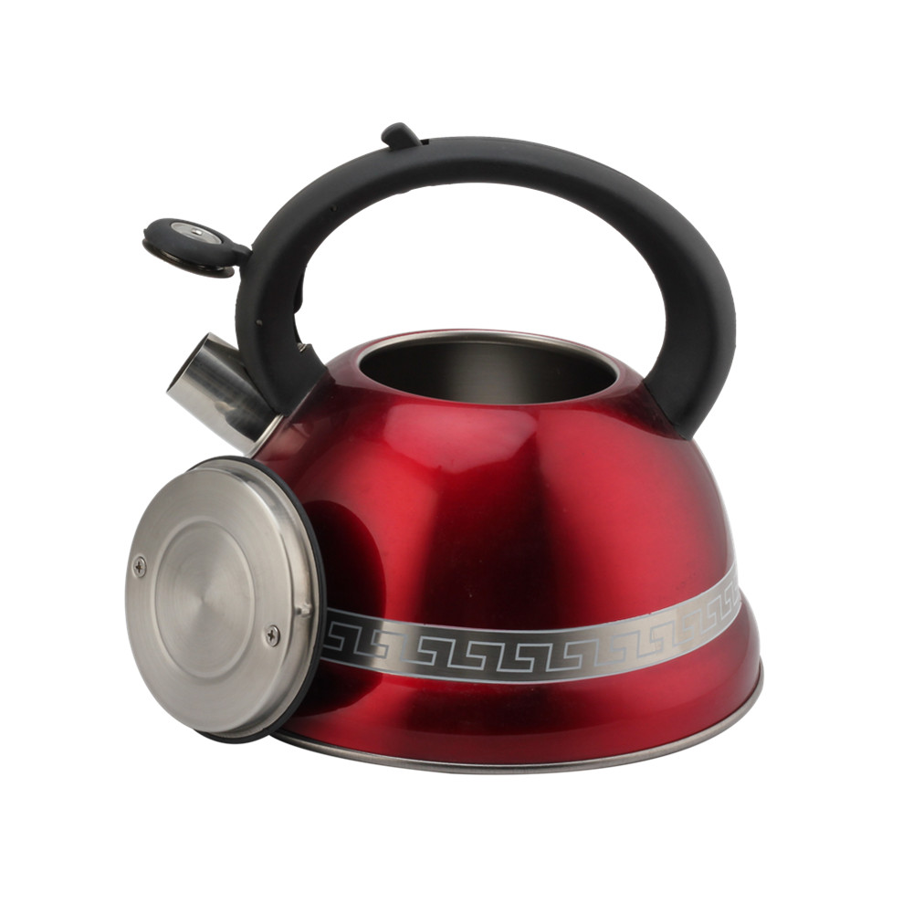 Stainless Steel Kettle With Induction Cooker-Suitable for All Hob Types — 5