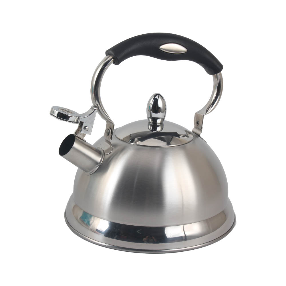 Stainless Steel whistling Kettle — 5