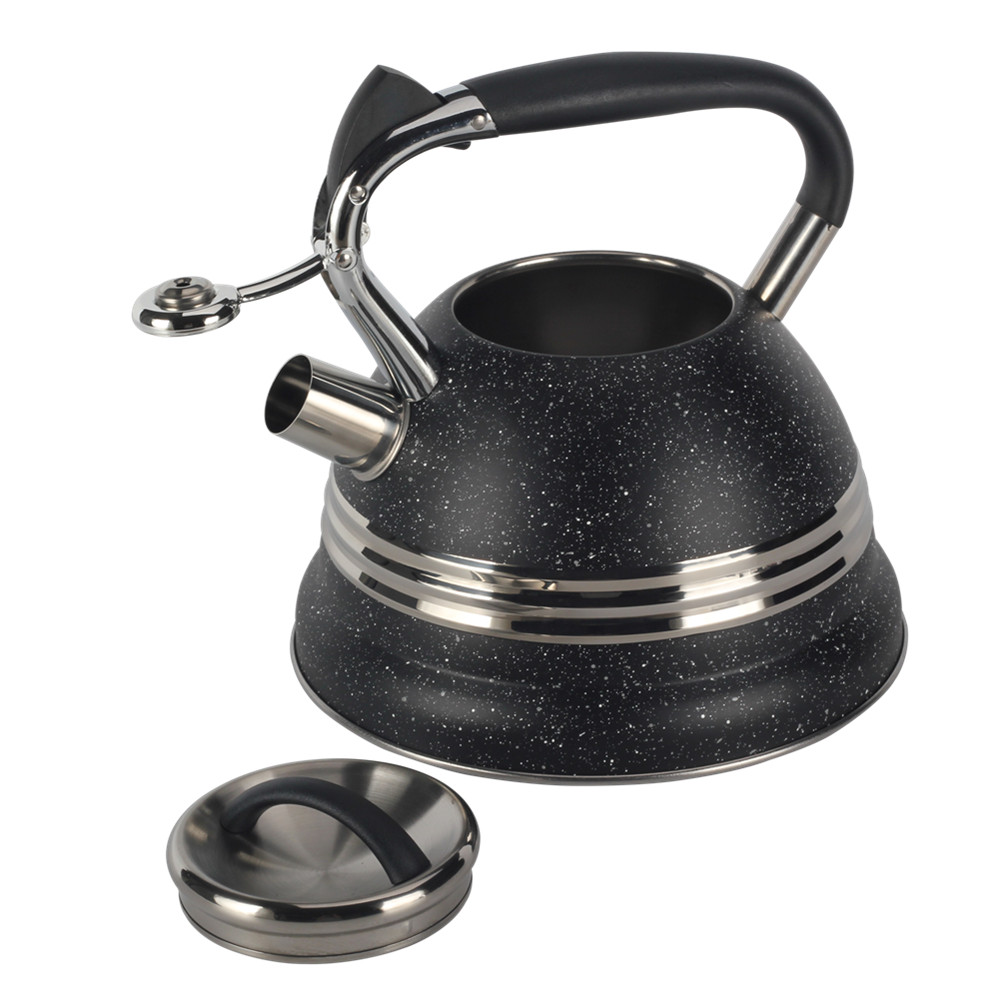 Stainless Steel whistling Kettle — 3