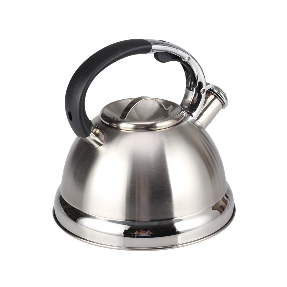 Stainless Steel Whistling Tea Kettle for Kitchen — 3
