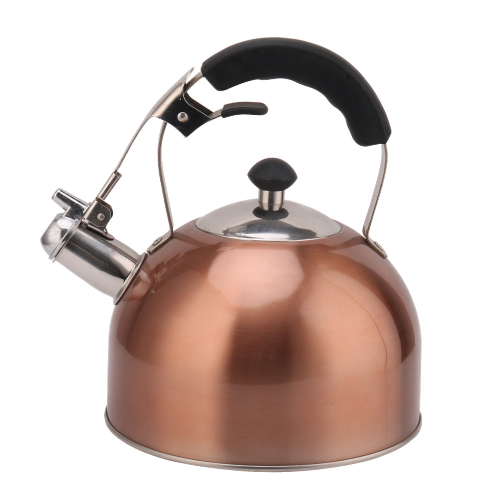 Stainless Steel Whistling Tea Kettle for Stove — product information