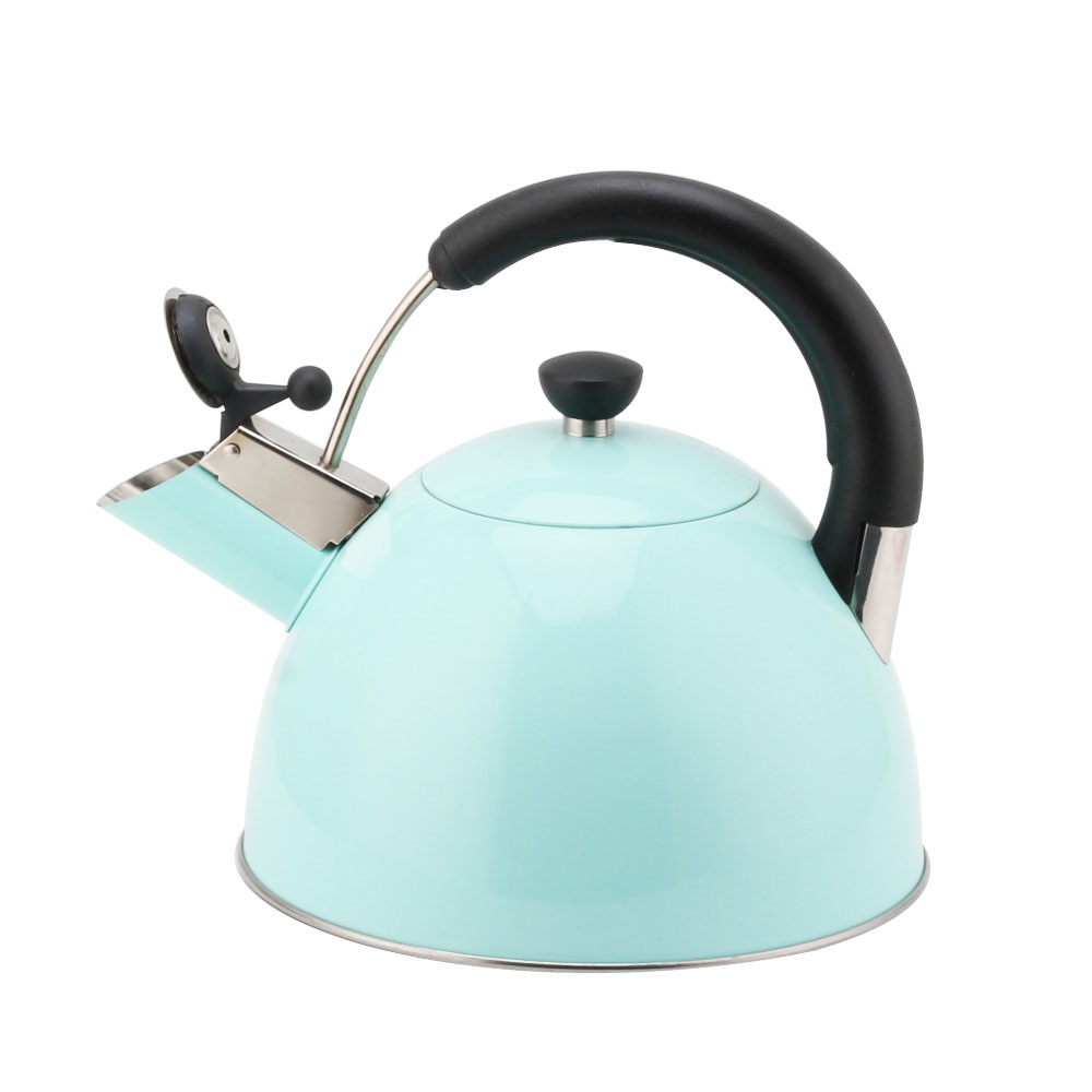 Modern S/S Whistling Kettle for Kitchen Light Color