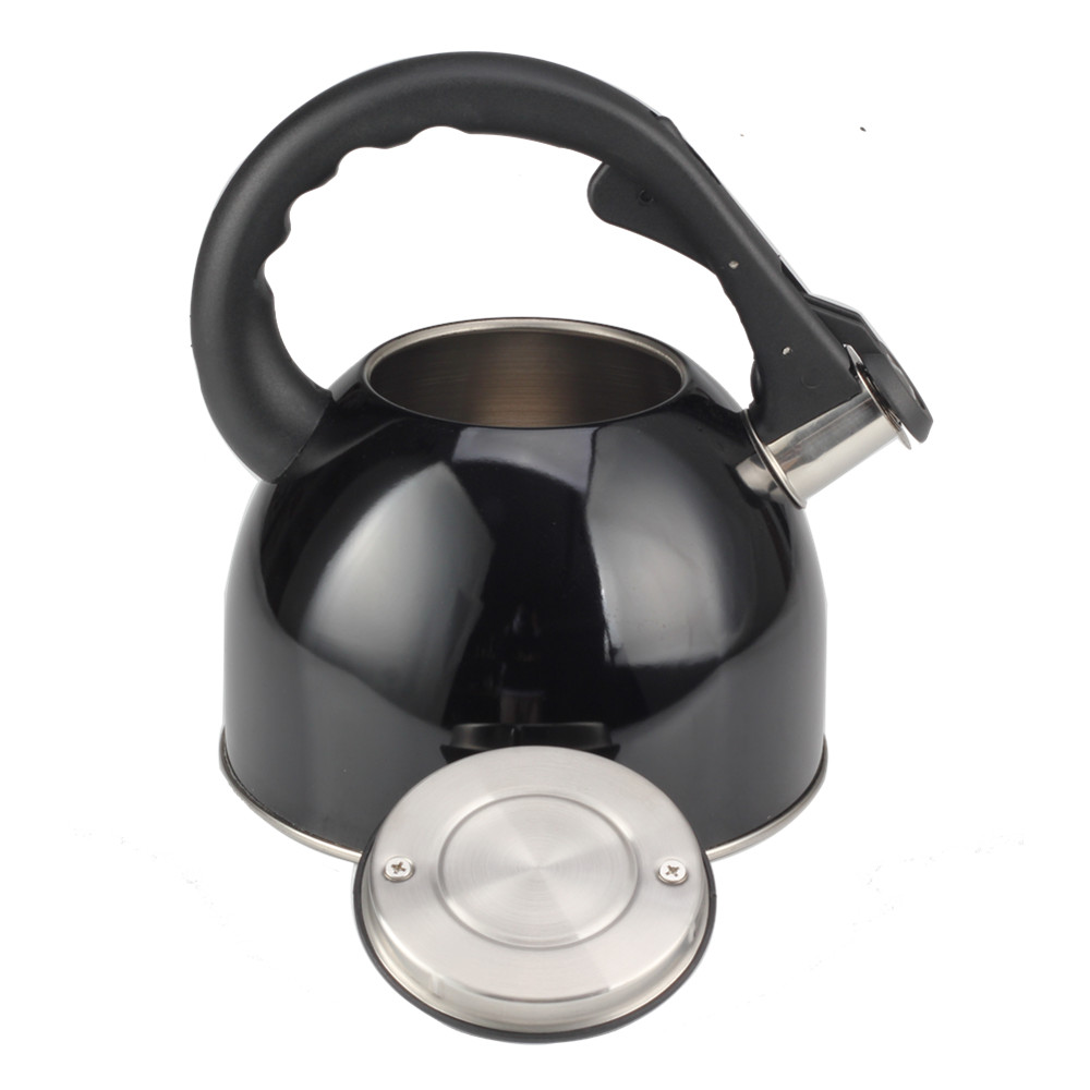 Stainless Steel Whistling Tea Kettle for Kitchen Camping — 4
