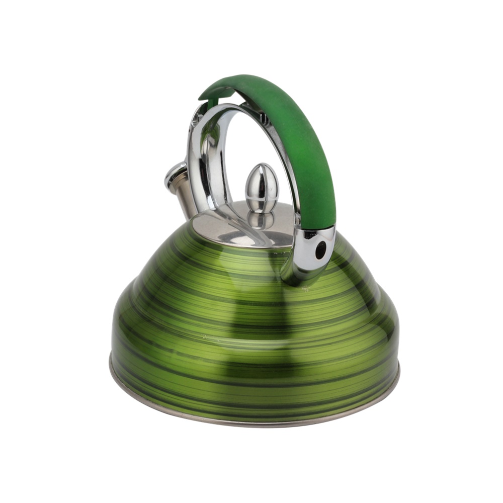 Whistling Kettle-Stainless Steel Kettle Induction — 4