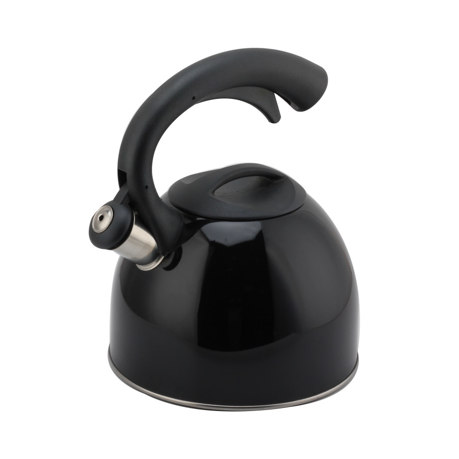 Stainless Steel Whistling Kettle (Black) — 5