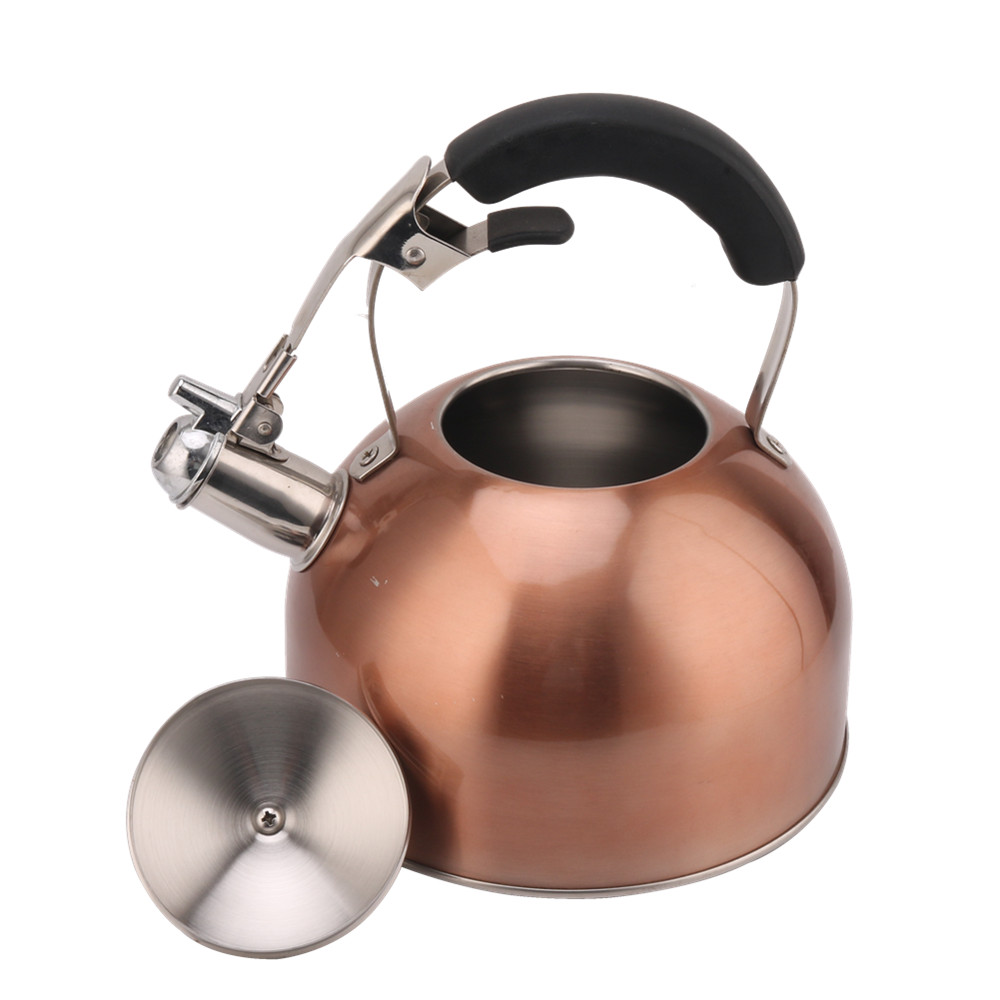 Stainless Steel Whistling Tea Kettle for Stove — 5