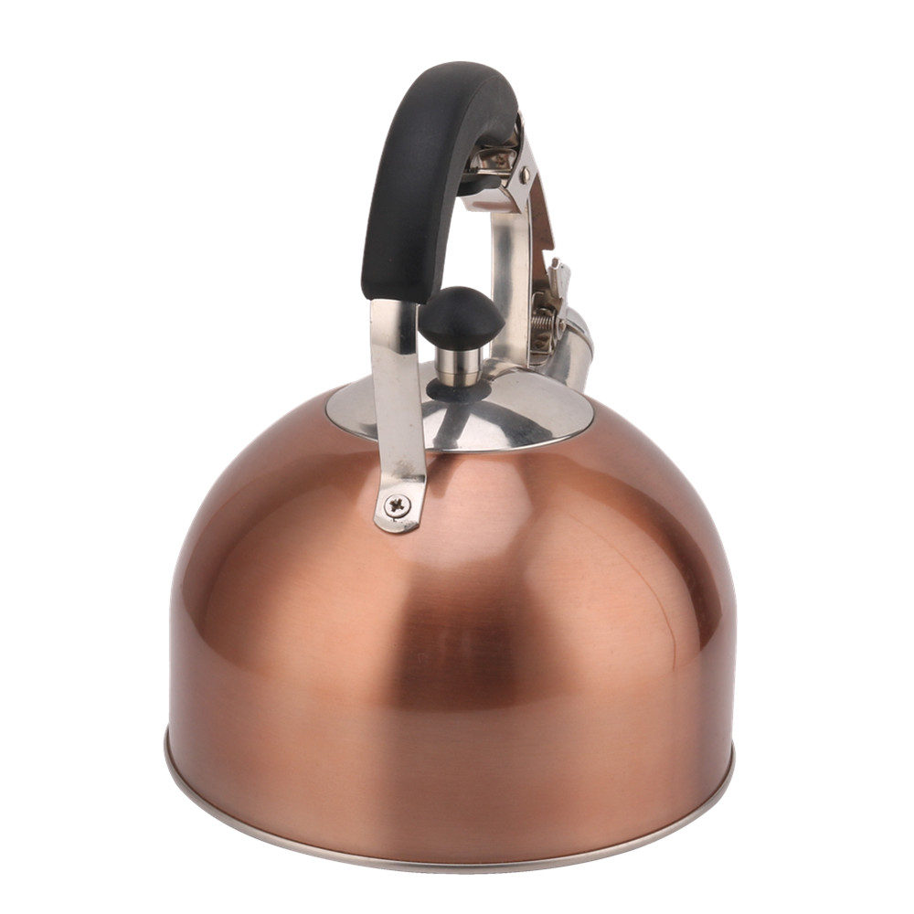 Stainless Steel Whistling Tea Kettle for Stove — 3