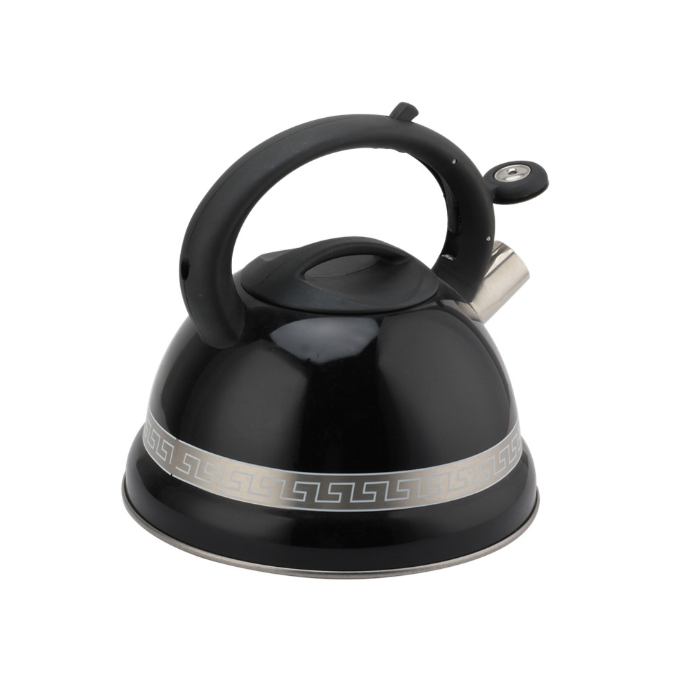 Kettle With Whistle, Suitable for Induction, 3L, Stainless Steel — 3