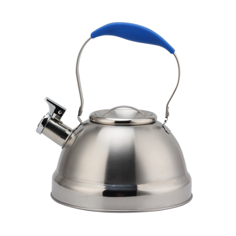 Stainless Steel Whistling Kettle - Tea Kettle for Stove - Blue Handle — product information