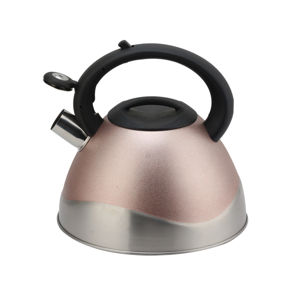 Modern Stainless Steel Whistling Kettle, Ergonomic Handle — 4