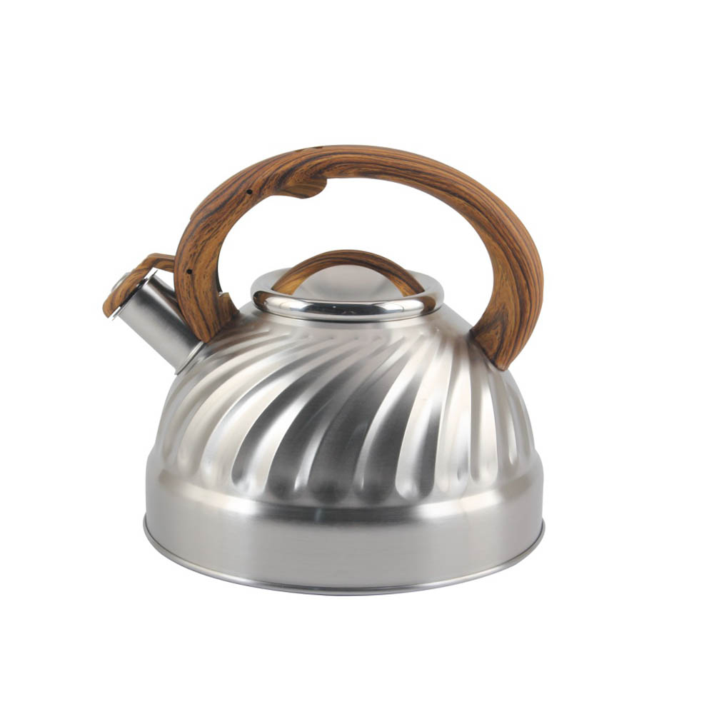 Stainless Steel whistling Kettle