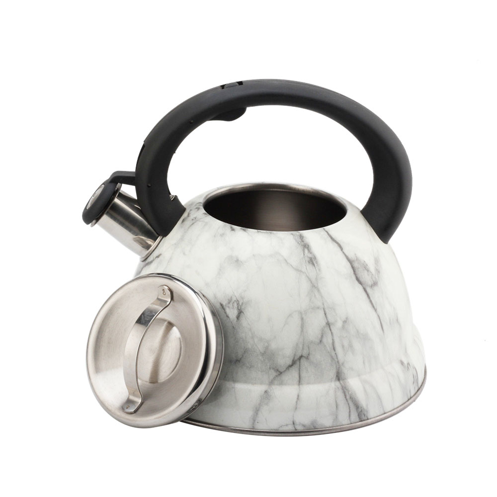 Modern Fashionable Whistling Kettle- Stainless Steel-Tea Set — 6