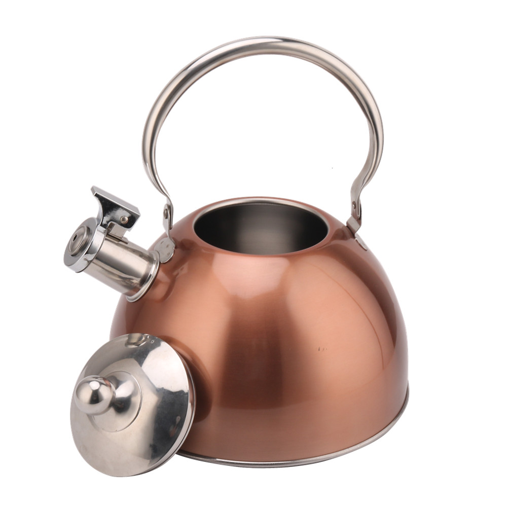 Kettle Induction-Stainless Steel Tea Kettle 2.5L Teal — product information
