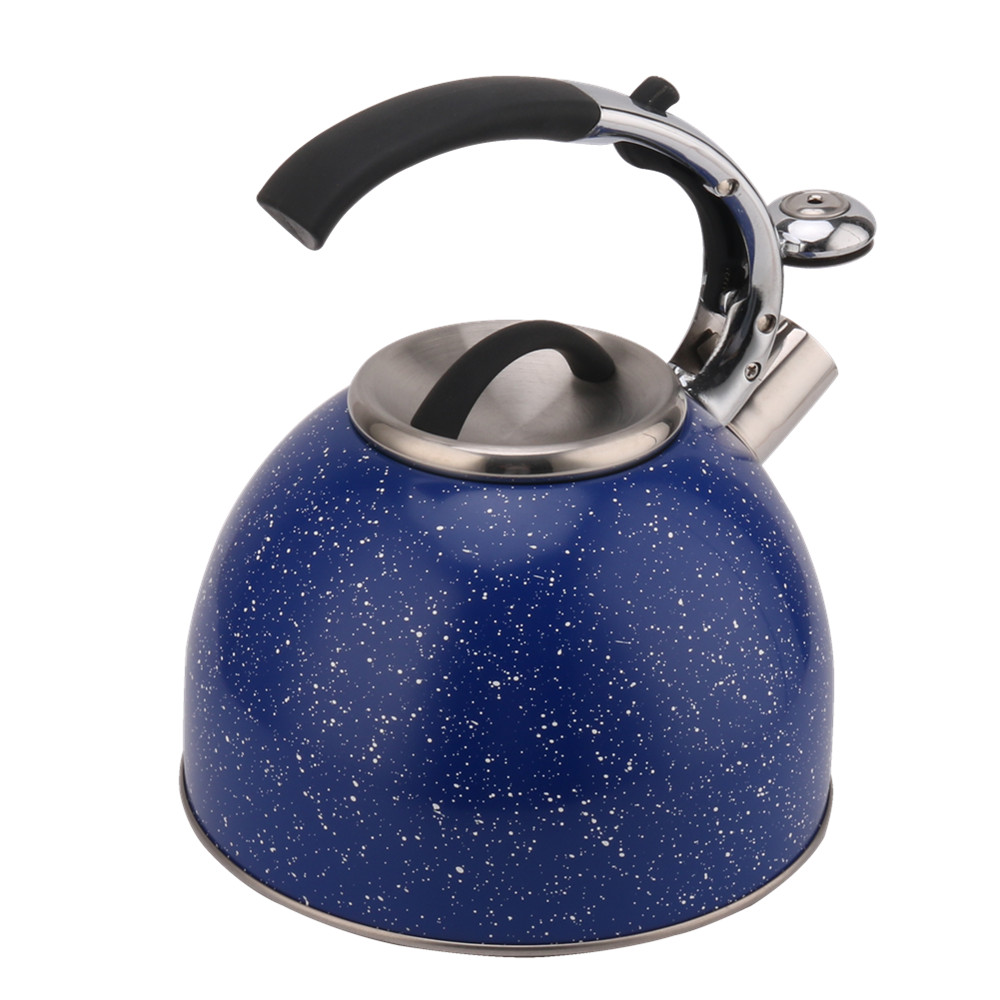 3 Litre Capacity Stainless Steel Whistling Tea Kettle-Blue — 2