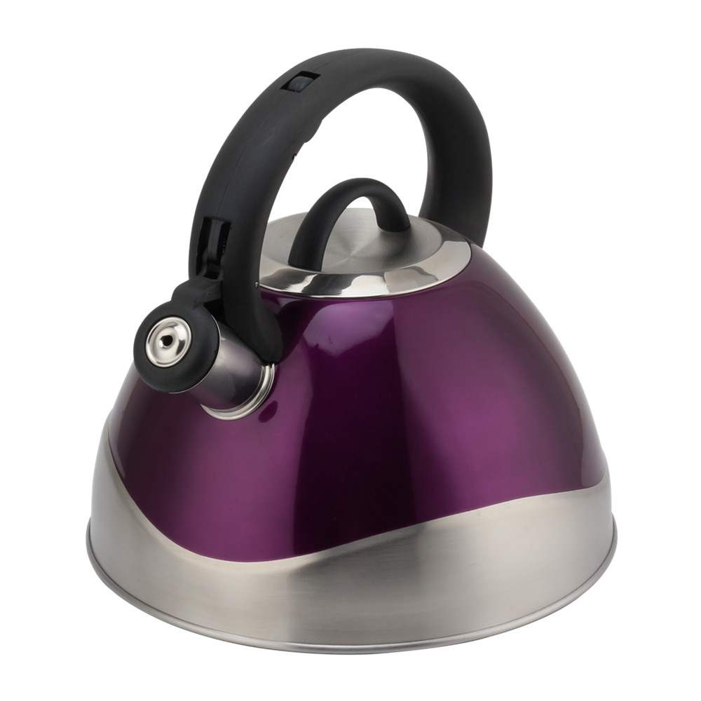 Stainless Steel Whistling Kettle - Tea Kettle for Stove - Teapot Suitable for Induction And Gas — 3