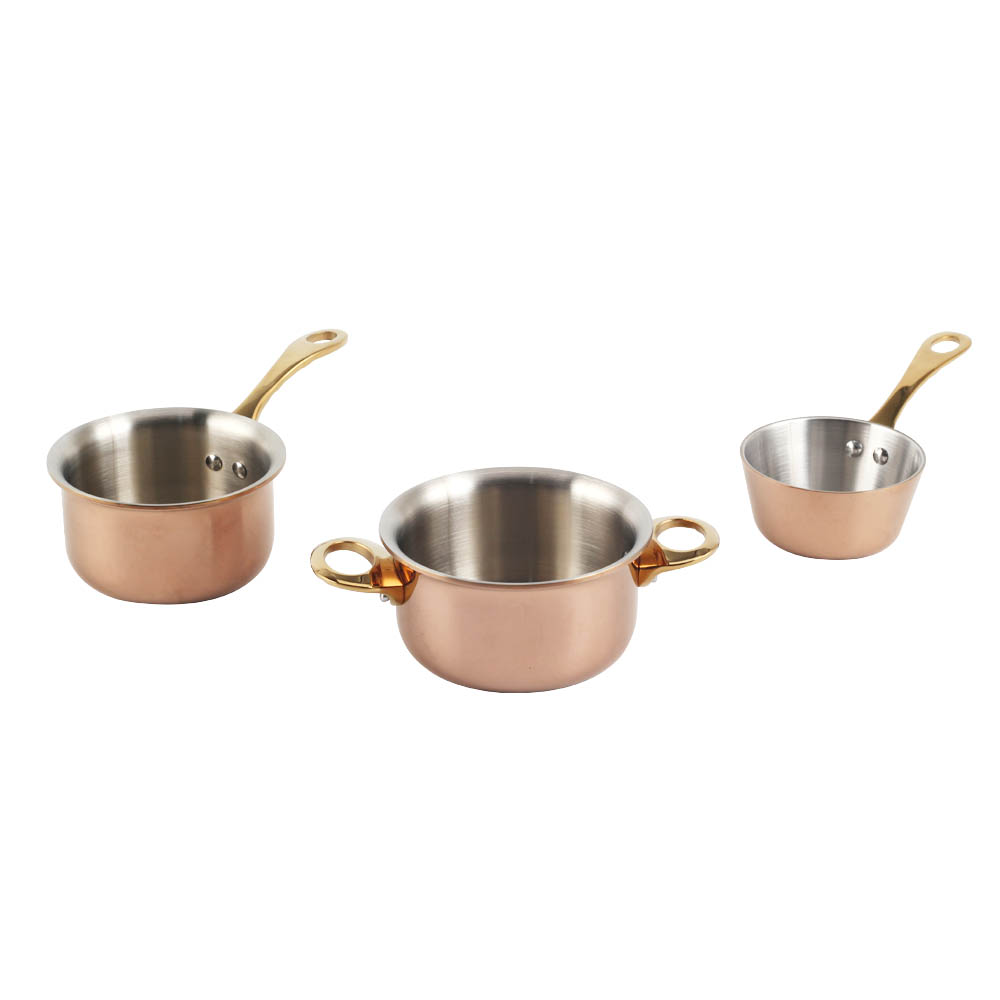Stainless Steel Mini Sauce Pan And Pot Set With Golden Handle — product information