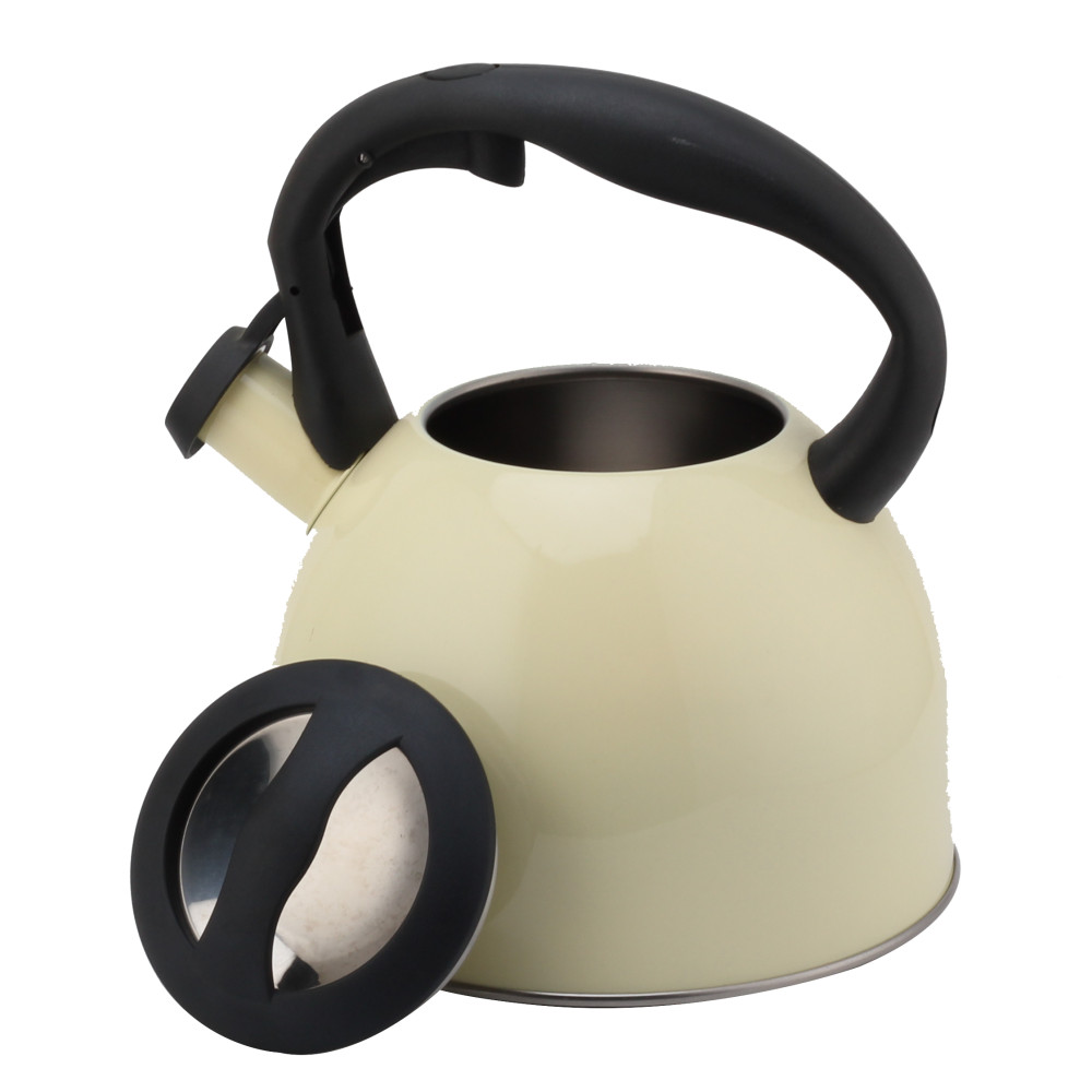 Fashionable S/S Whistling Kettle for Kitchen-Light Color — product information
