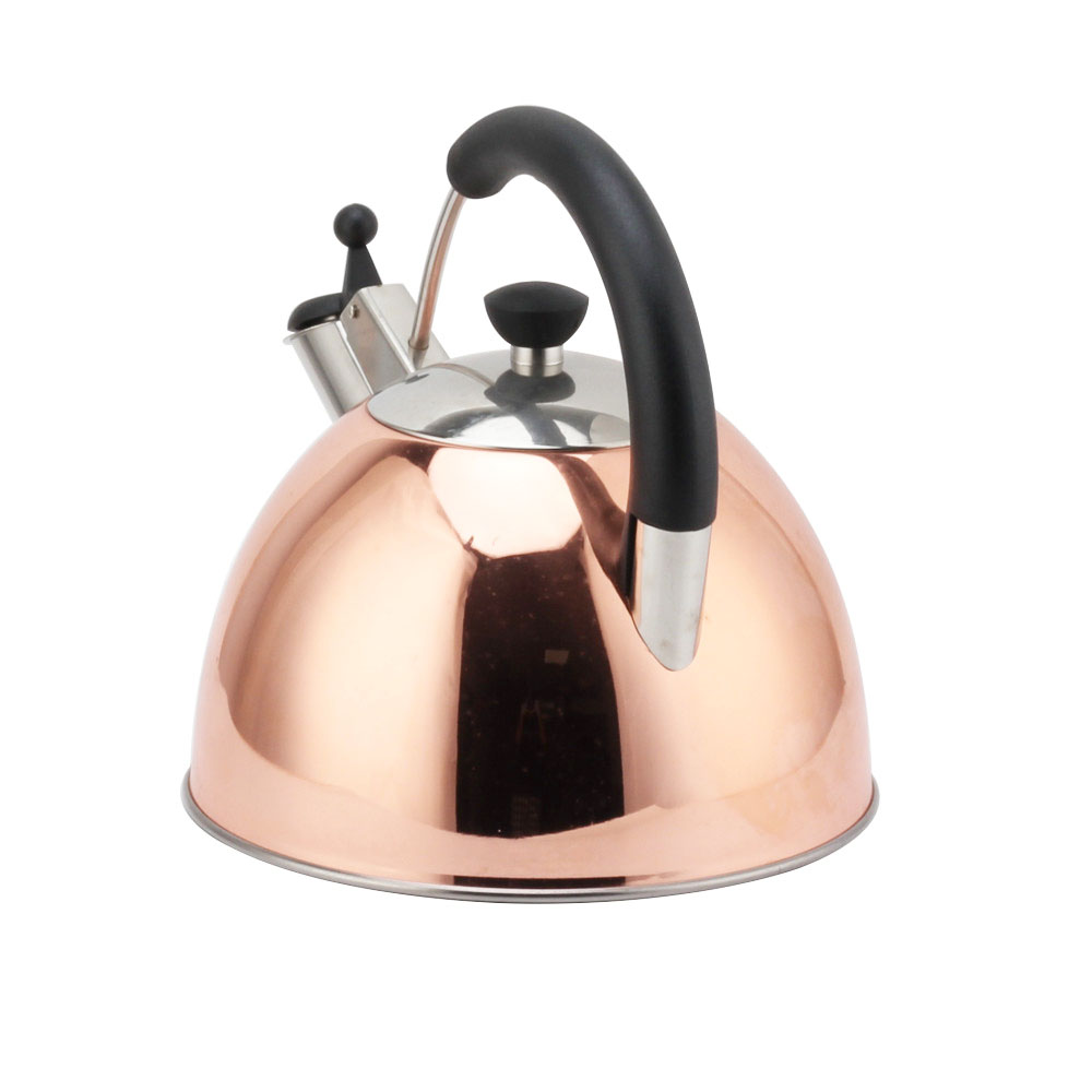 Modern S/S Whistling Kettle for Kitchen — 2