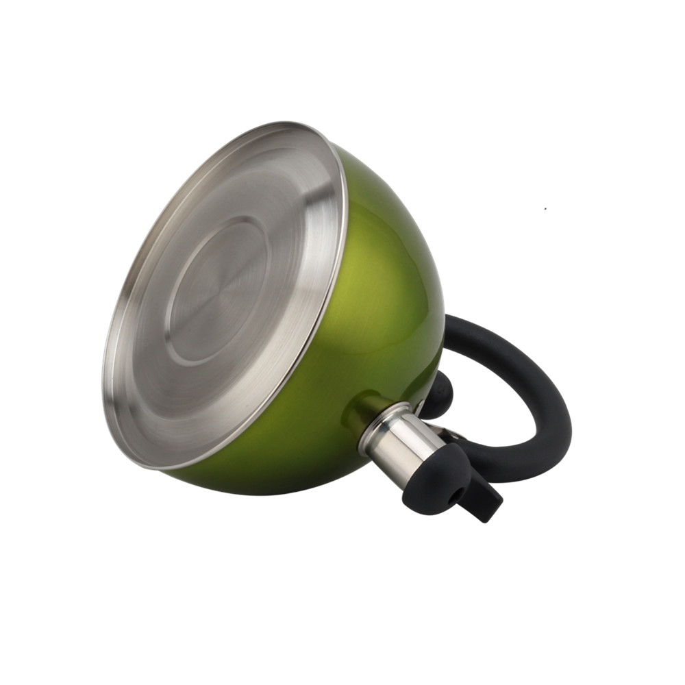 Stainless Steel Whistling Kettle, Ergonomic Handle, Green Color — 7