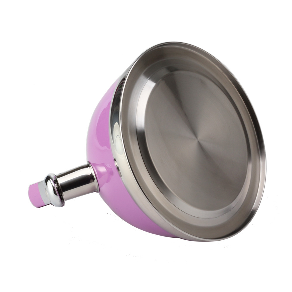 Classic Stainless Steel Whistling Tea Kettle With Purple Handle — 6