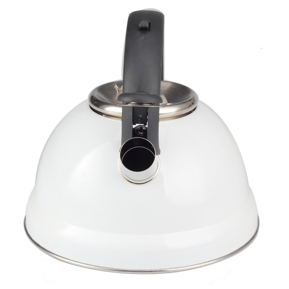 Classic Stainless Steel Whistling Tea Kettle — 5