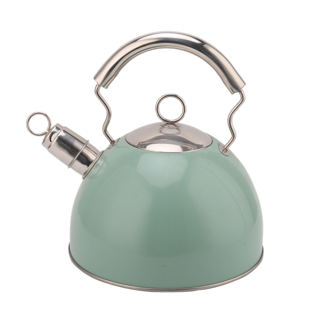 Kettle Induction-Whistling Kettle Made of Stainless Steel — product information