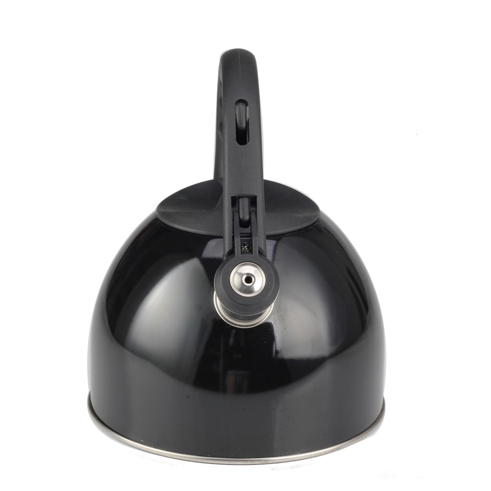 Stainless Steel Whistling Tea Kettle for Kitchen Camping — 2