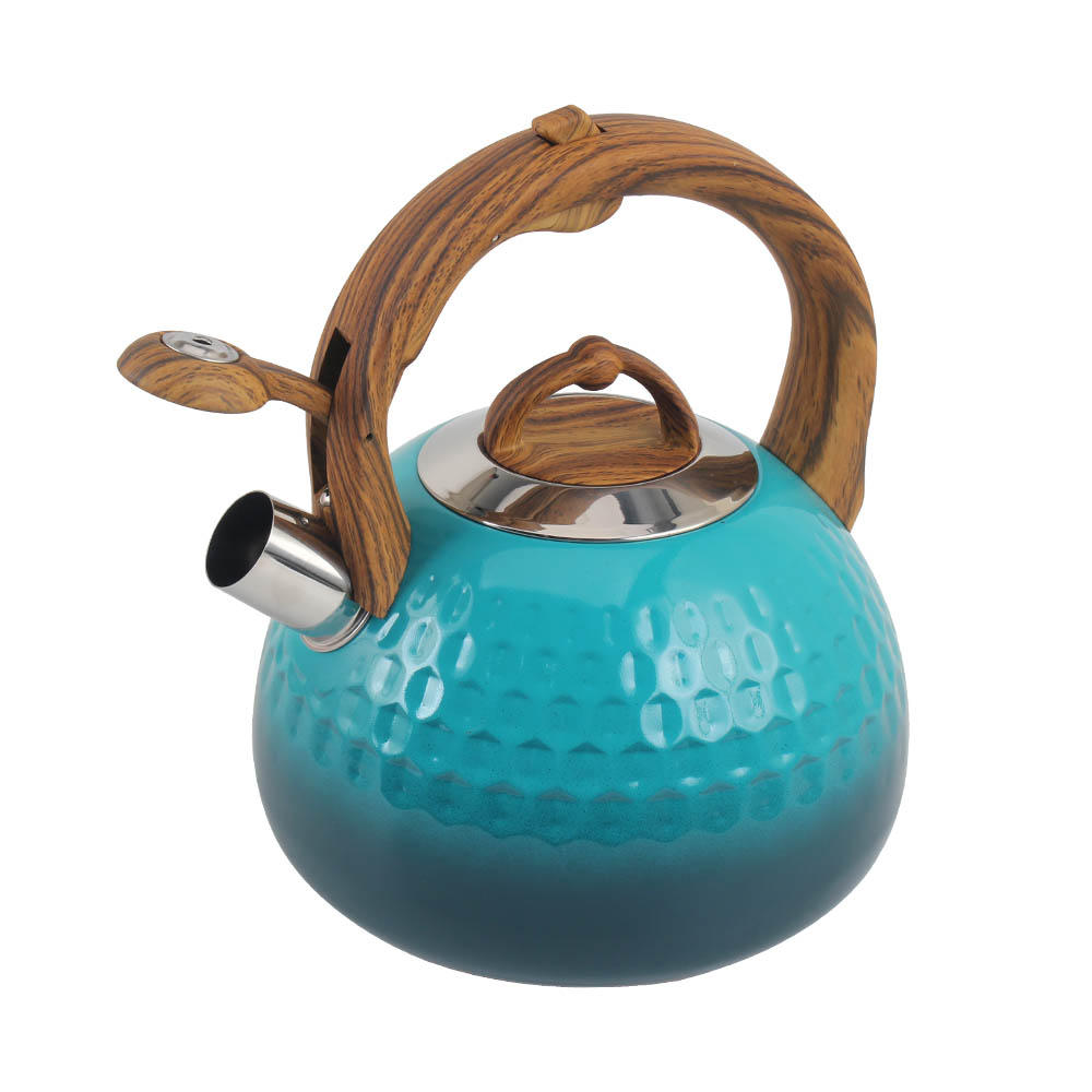 Blue Stainless Steel Whistling Kettle — 4