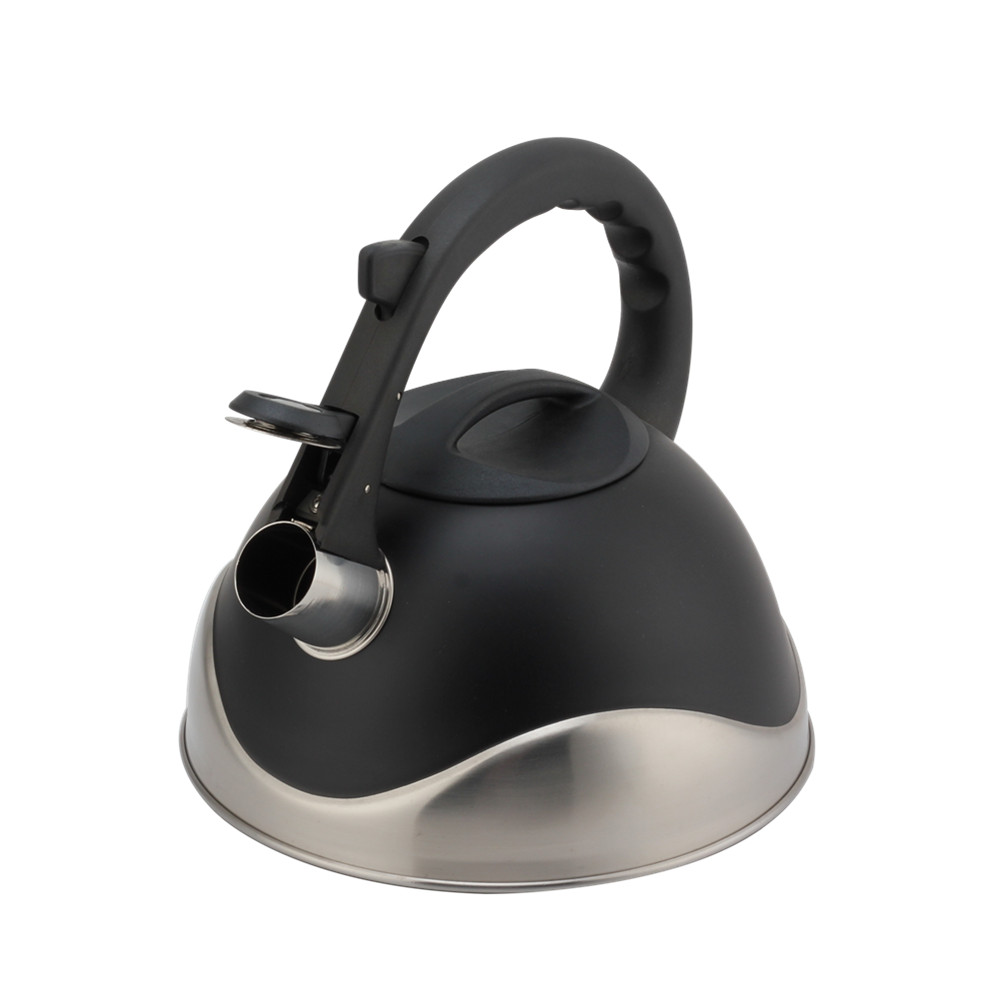 Stainless Steel Whistling Kettle, Ergonomic Handle, Black Color — product information