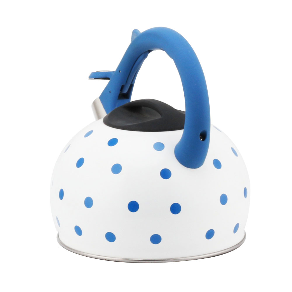Stainless Steel Tea Kettle With Whistling Sound-Blue — 2