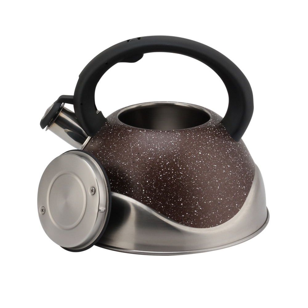 Stainless Steel Whistling Kettle, Ergonomic Handle — 6